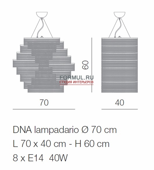  Voltolina DNA