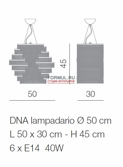  Voltolina DNA