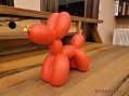    Balloon dog ( )