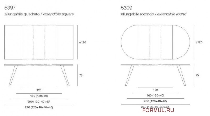  Pacini & Cappellini ELEGANCE